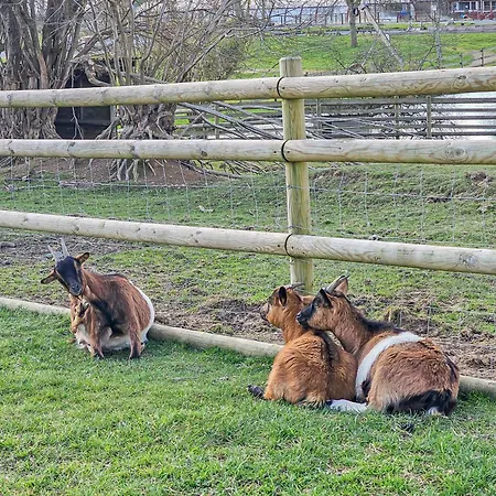 Escapade En Famille Au Domaine De